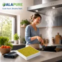 Filtro de carbón activado HEPA Alapure, compatible con Elica KIT0176157