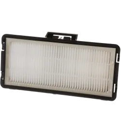 Filtro HEPA de Bosch 17007967
