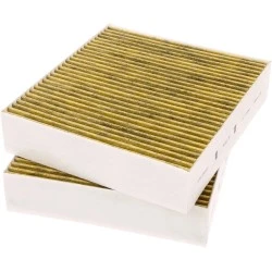 Filtro de carbón Gaggenau 11058753 / 11028106 / AA410110 (2 uds.)