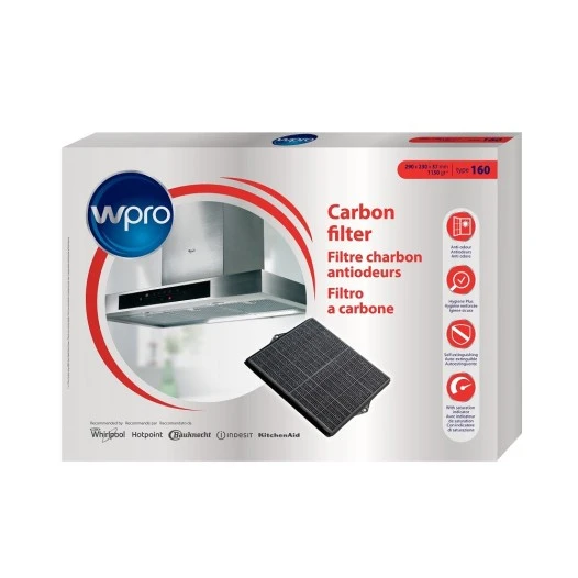 Filtro de carbón Scholtes Tipo 160 CHF007/2 | C00384275 | 484000008693