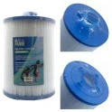 Filtro de agua Alapure Spa compatible con Pleatco PWW100-ST