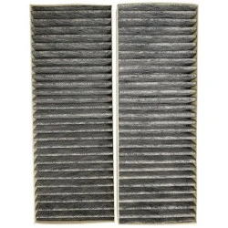 Filtro de carbón Blaupunkt AFCFCAASPC90 (2 uds.)