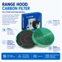 Filtro de carbón Alapure compatible con Roblin 5403009 / 5403004 (2 uds.)