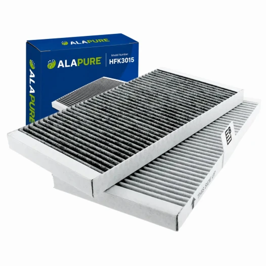 Filtro de olores y partículas finas Alapure, apto para ETNA HF3015 (2 uds.)
