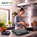 Filtro de carbón Alapure compatible con DeDietrich 71X0704 (2 uds.)