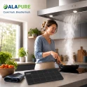 Filtro de carbón Alapure compatible con Electrolux 4055304036